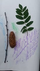 Preschool and School Aged Kids Outdoor Activity - Nature Rubbing Art