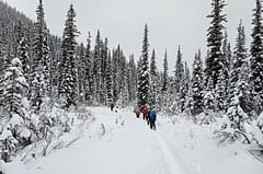 Backcountry skiing as a family