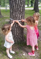 Outdoor Play for Kids - 3 Tree Themed Activities