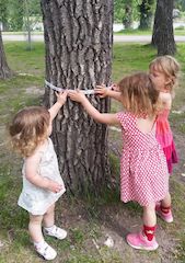 Best Outdoor Educational Activity - Learn About Trees
