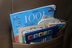 Top Road Trip Ideas to Entertain Kids - bring a large assortment of books