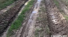 Mud ruts