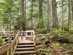 Must see Canadian National Parks with kids