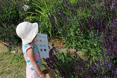 Outdoor activities for kids - try a rainbow scavenger hunt, great for preschool age kids