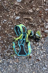 Toddler climbing harness and climbing shoes