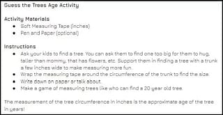 Outdoor Play for Kids - 3 Tree Themed Activities | Off-Road Discovery