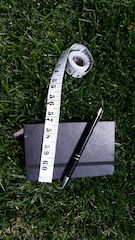 Outdoor Activity for Kids - Guess the Age of the Tree