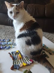 cat stitching helper
