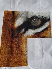 tiger stitched