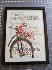 framed cross stitch completed