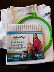 Waste canvas cross stitch