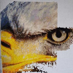 Eagle Cross-Stitch Work In Progress