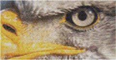 Eagle Cross-Stitch Mockup