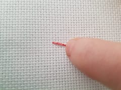 starting cross stitch back view tail