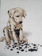Learning to Cross-Stitch