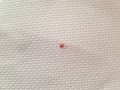 cross stitch completed stitch